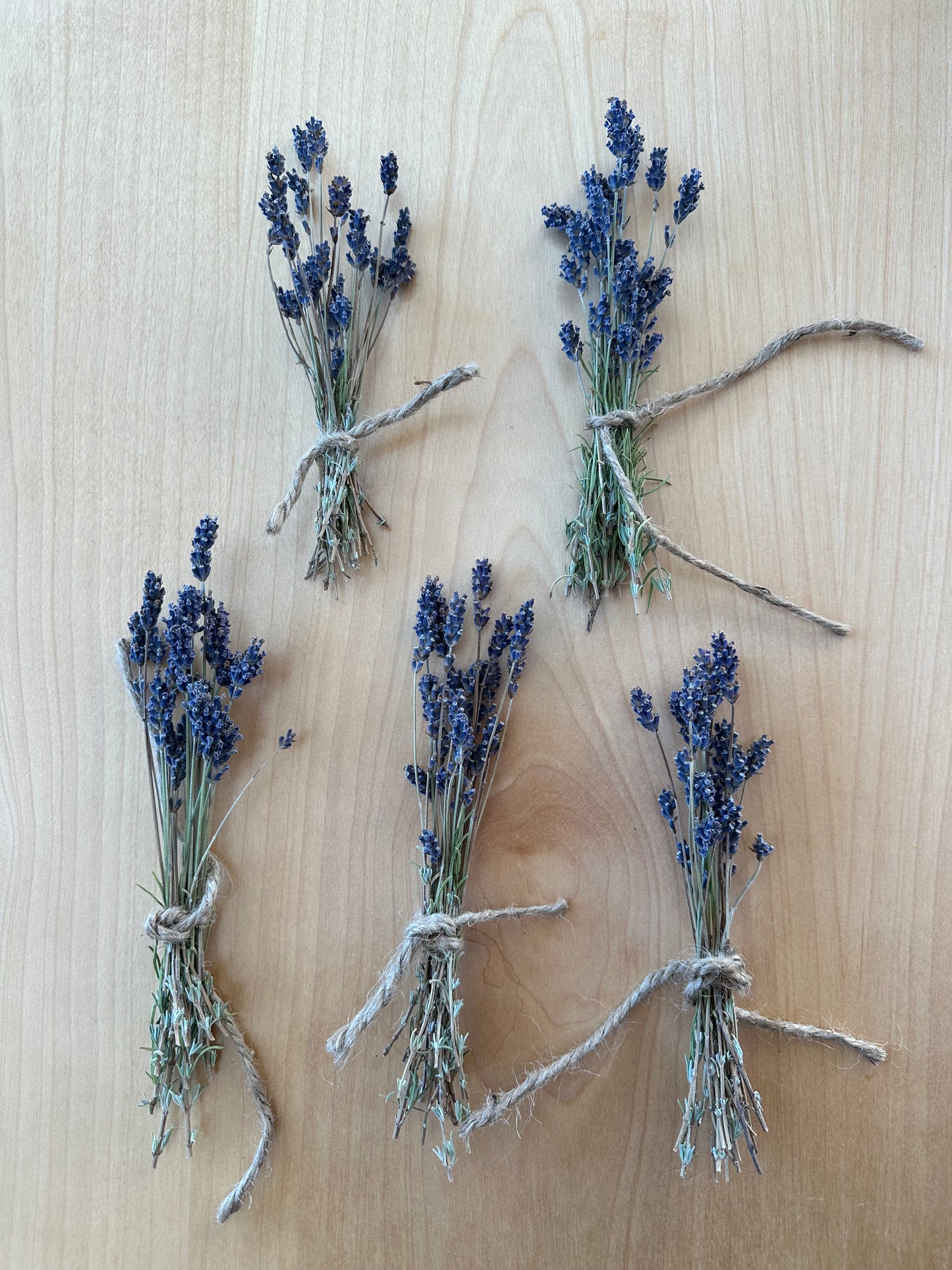 English Lavender Bunch (Dried Flowers)