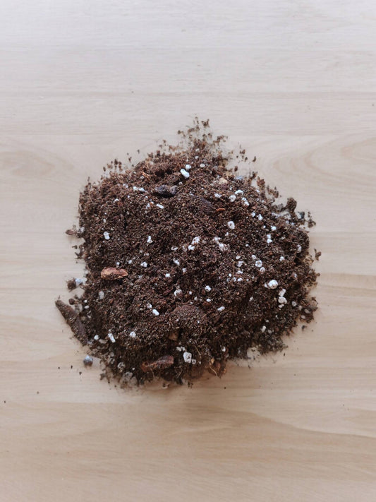 Arid Aspersions 1 gal