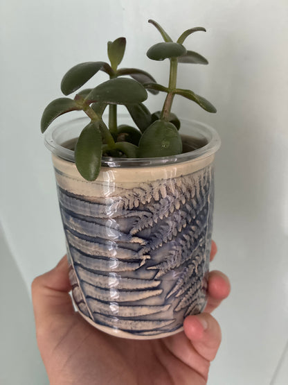 Assorted Plant + Artist made planter