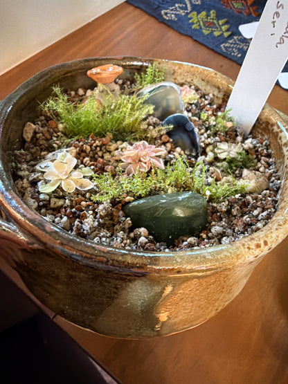 Mini “pingdom” Pinguicula xWeser