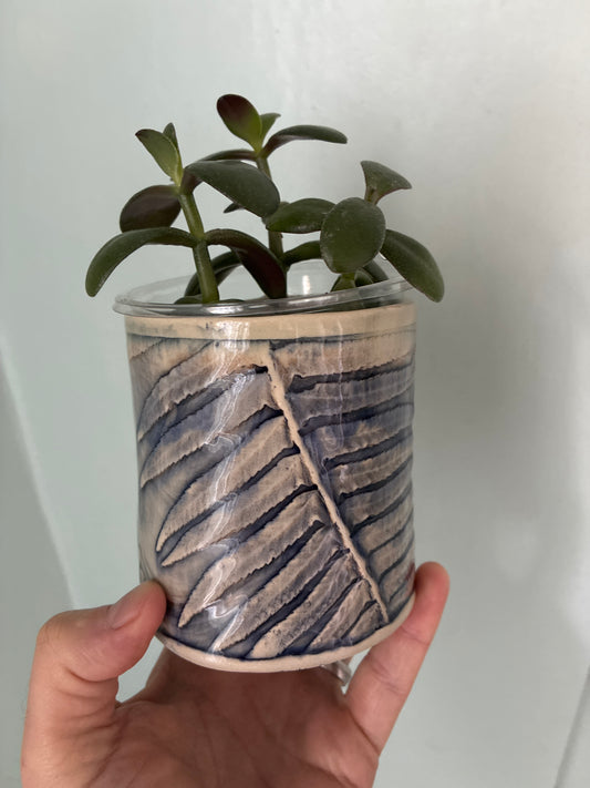 Assorted Plant + Artist made planter