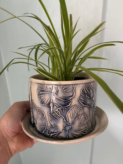 Assorted Plant + Artist made planter