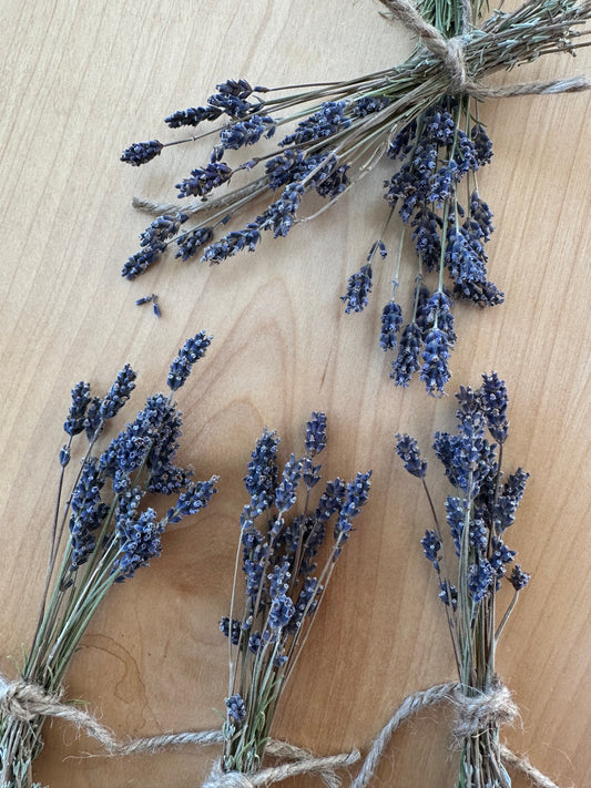 English Lavender Bunch (Dried Flowers)