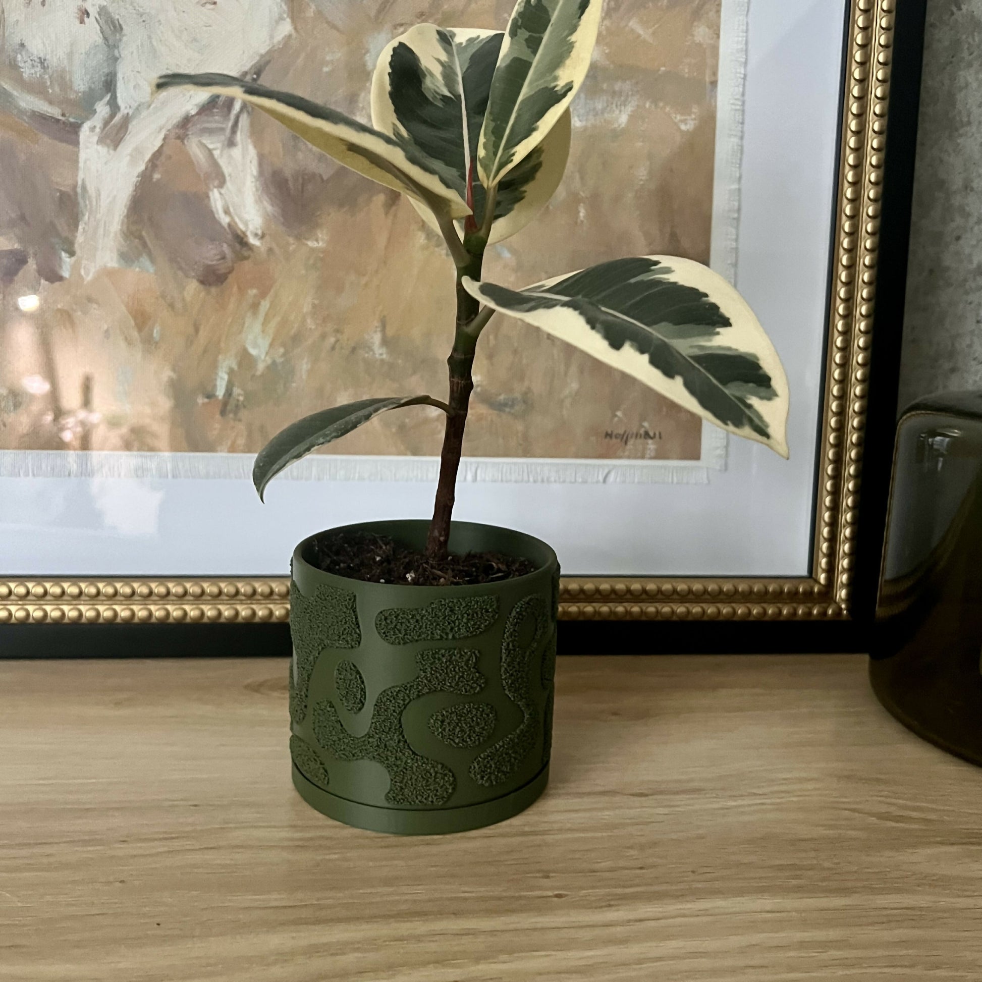 moss plant pot MOSS Plant Pot, Textured 3D-printed Plant Pot with Drip Tray