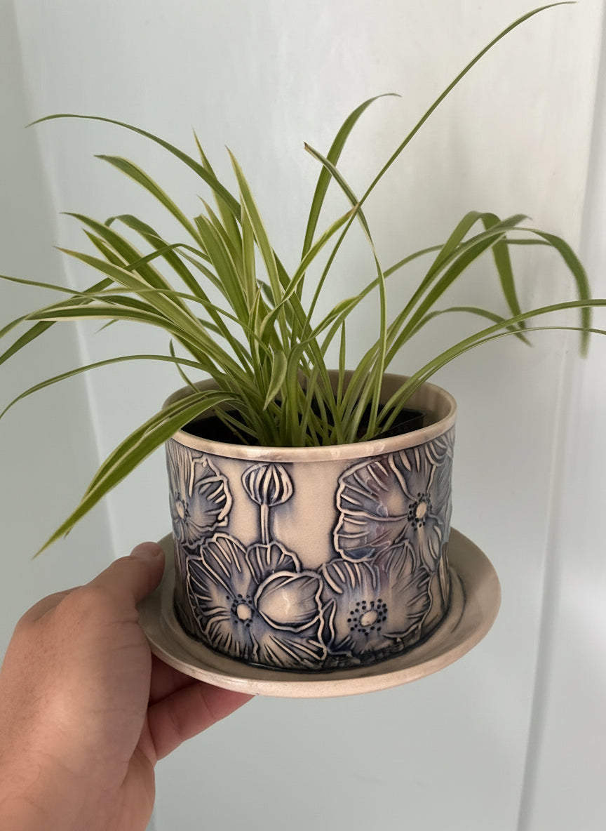 Assorted Plant + Artist made planter