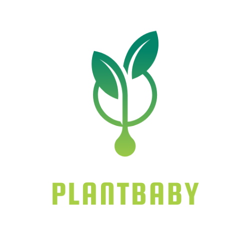 plantbaby