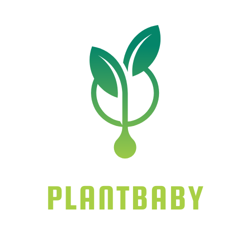 plantbaby Gift Card