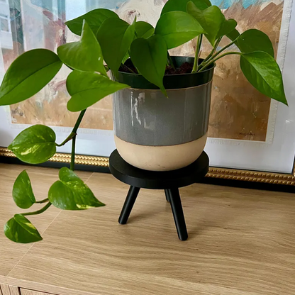 Minimalist Indoor Plant Stand | 3D-Printed Plant Pot Riser