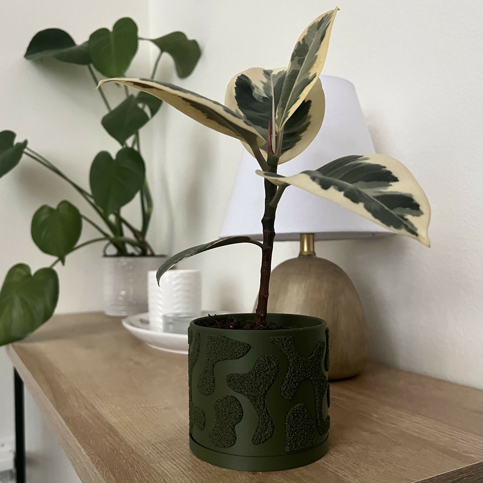 plant pot moss MOSS Plant Pot, Textured 3D-printed Plant Pot with Drip Tray – plantbaby