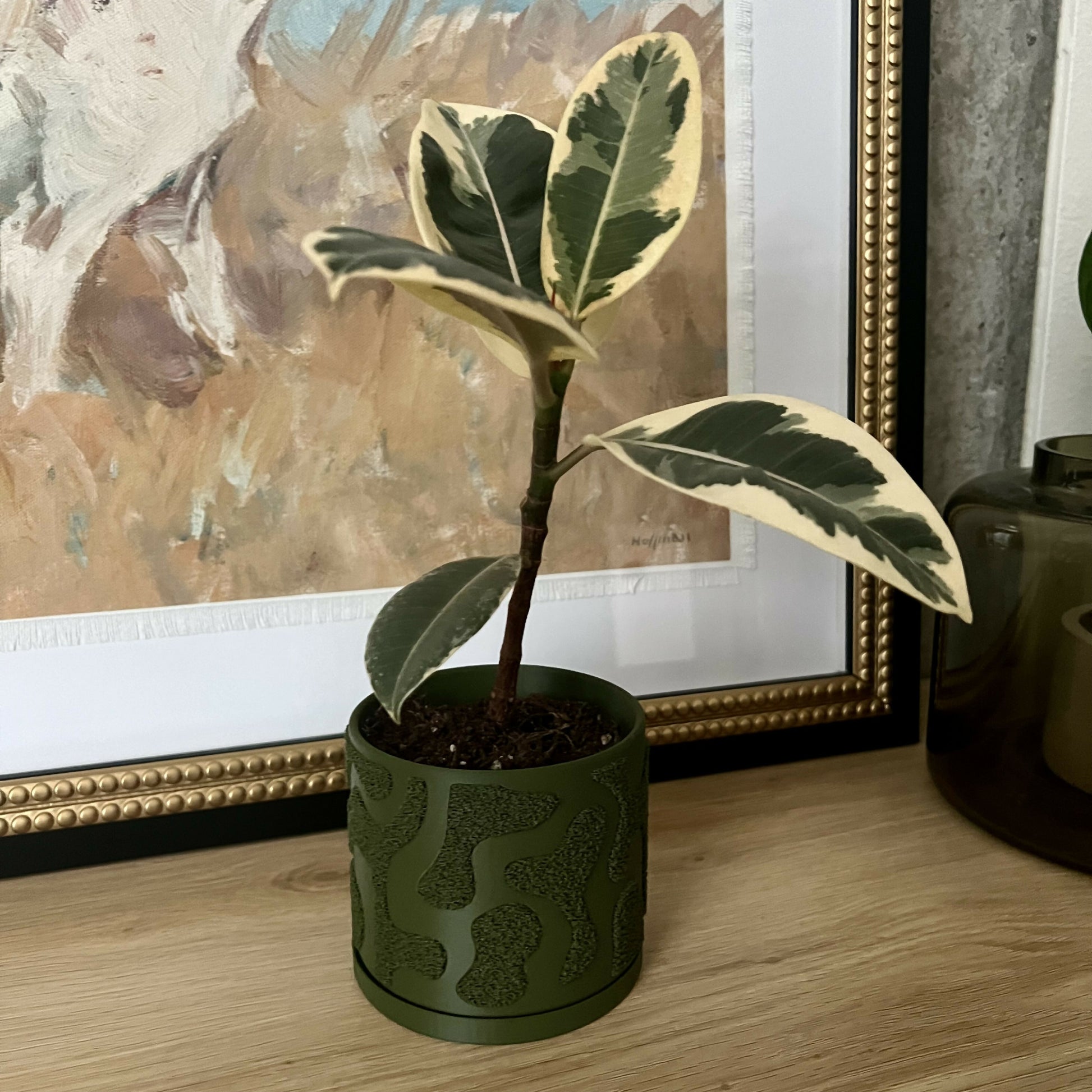 plant pot moss MOSS Plant Pot, Textured 3D-printed Plant Pot with Drip Tray – plantbaby