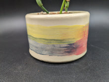 Load image into Gallery viewer, Moonlight Scindapsus in Handmade Ceramic Rainbow Planter, Exact Plant!
