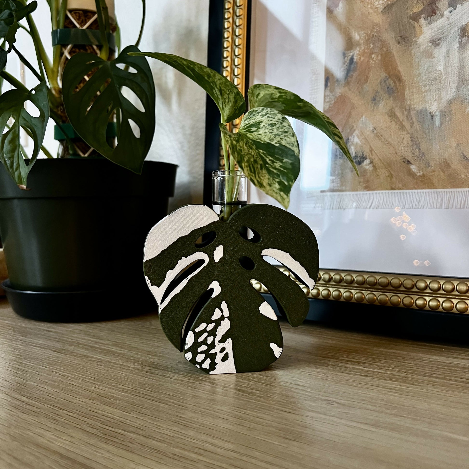 monstera albo propagation Monstera Albo Plant Propagation Stand, 3D-printed – plantbaby