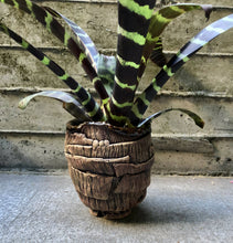 Load image into Gallery viewer, Solar Fired Funky Textured Planter
