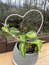 Load image into Gallery viewer, Plant Trellis- natural and white jute heart (13in)
