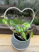 Load image into Gallery viewer, Plant Trellis- twisted natural and white jute heart (13in)
