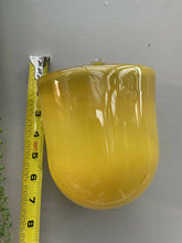 Load image into Gallery viewer, Glass Wall Plant Pouch in Mustard Yellow
