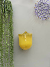 Load image into Gallery viewer, Glass Wall Plant Pouch in Mustard Yellow
