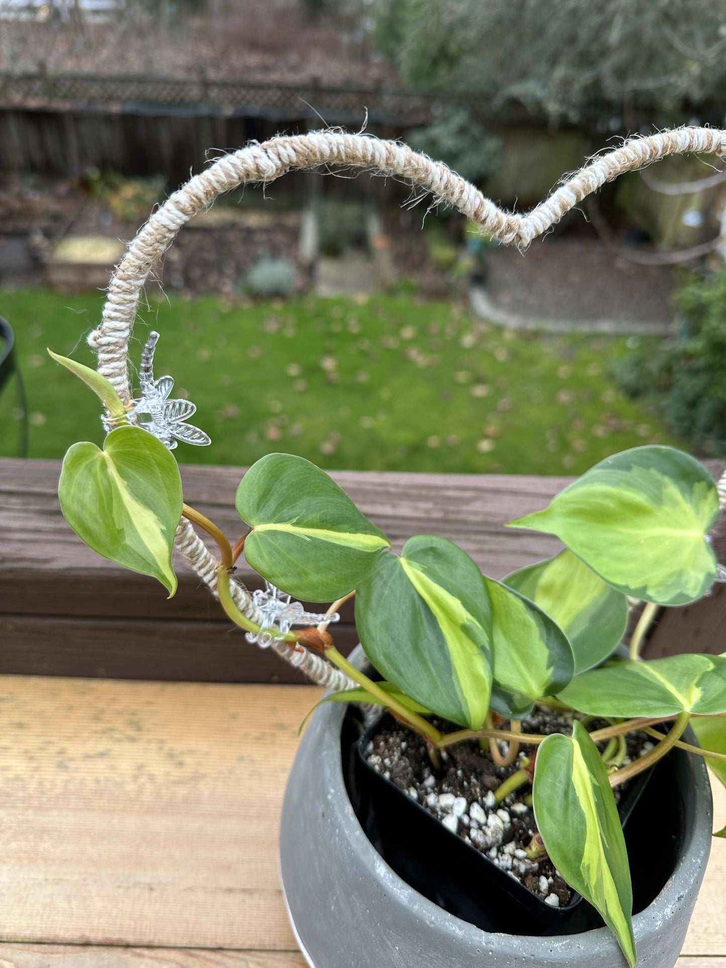 Plant Trellis- twisted natural and white jute heart (13in)