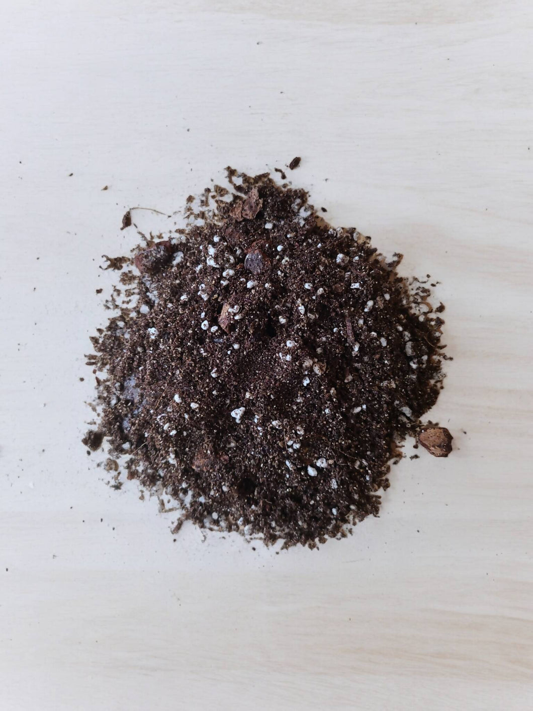 Syngonium Soil 1 gal