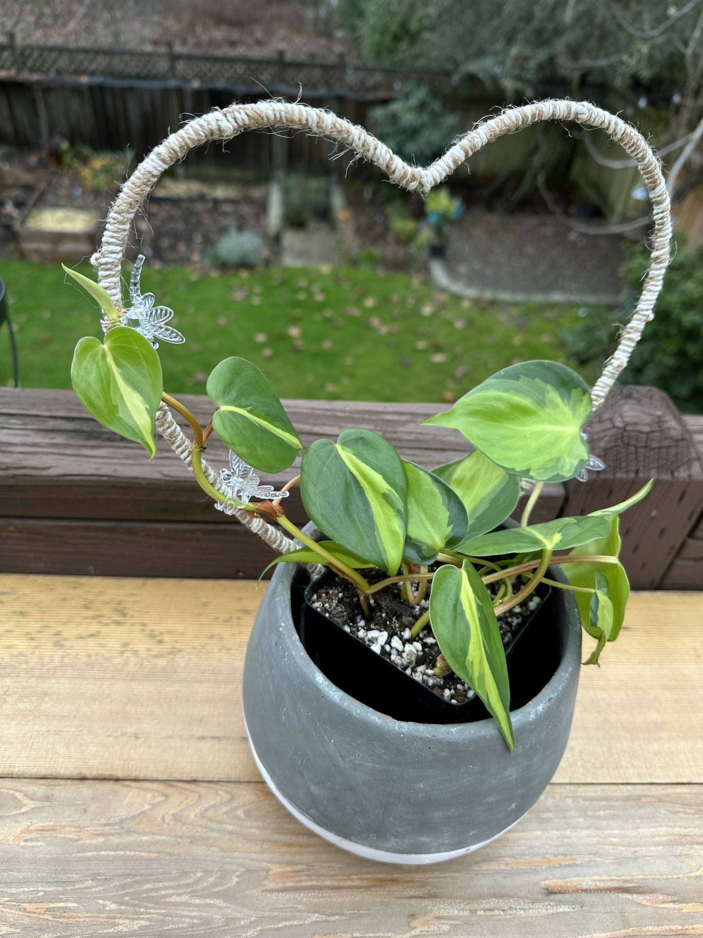 Plant Trellis- twisted natural and white jute heart (13in)