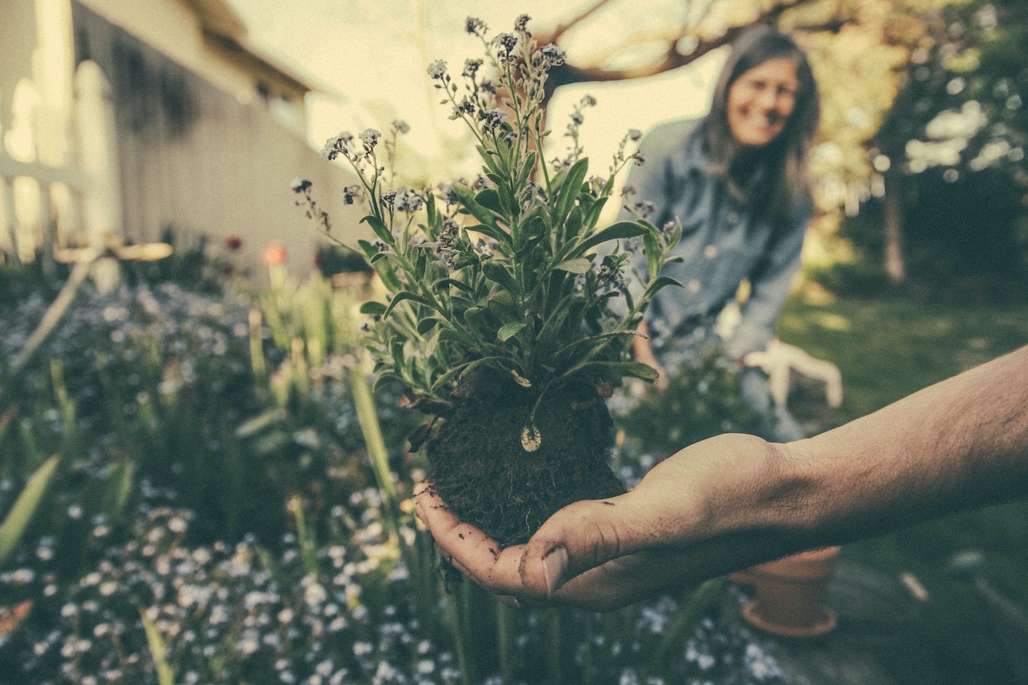 plantbaby giftcard